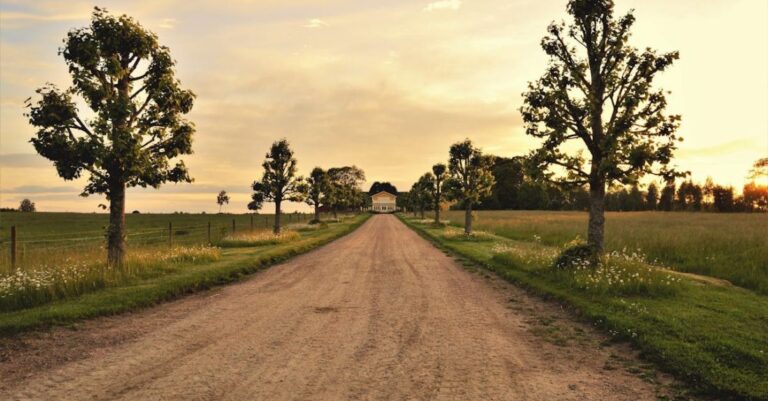 Country - Dirt Path Leading to House Under Clear Day Sky