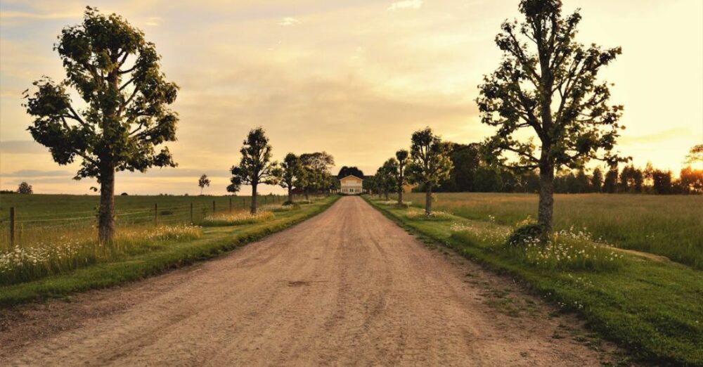 Country - Dirt Path Leading to House Under Clear Day Sky