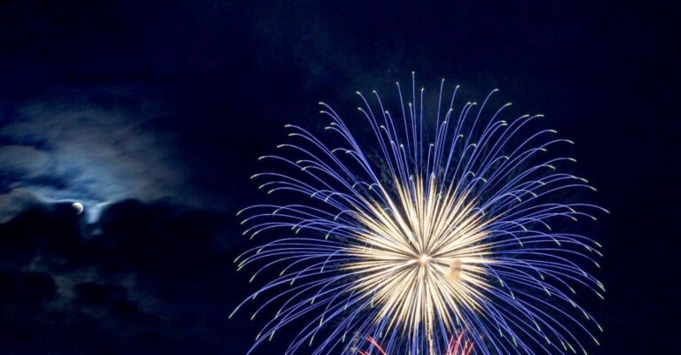 Fireworks - Blue and Red Brocade Fireworks at Night